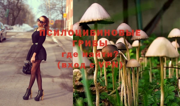 стафф Армянск