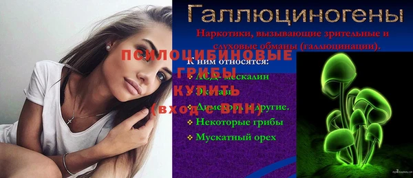 дмт Арсеньев