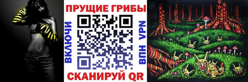 Псилоцибиновые грибы Psilocybe  Куйбышев 