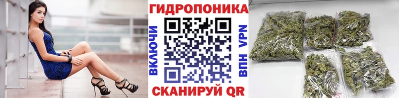 как найти наркотики  Куйбышев  Конопля AK-47 
